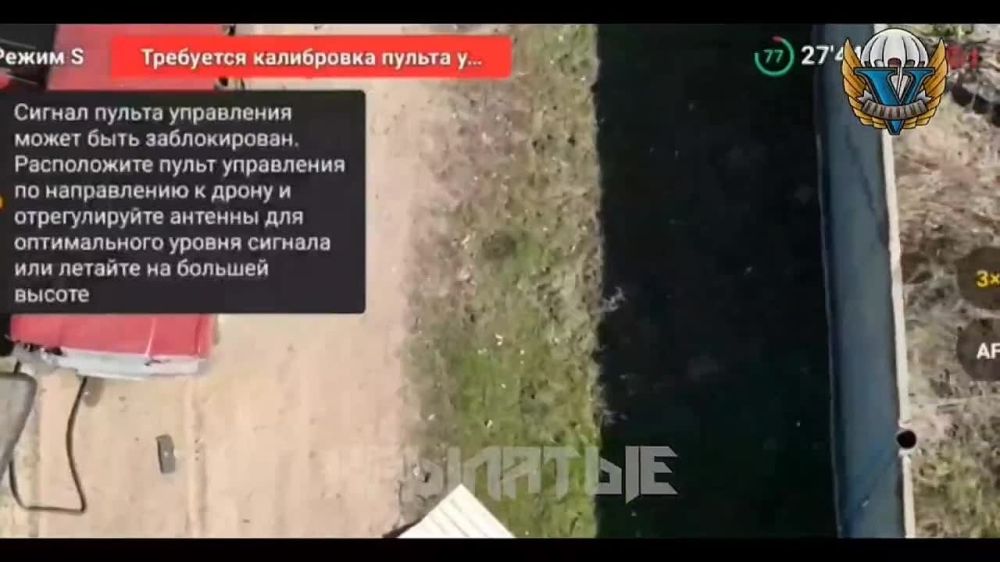 ���������� �����������, ���� �.�