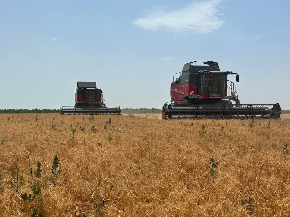 ������ ���������� ������� ������� �������� ������ � ���� ������, �������� �� ����������� ��-�� ����������� ������ ������� ���� ����� ���������� �� ��������� ���