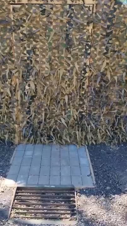 �� ������ �� ��� ��������� � ���� ���������� ����������� ������� ��������, ��� ������� ������� � �������������� ����� ���������� ��� ����������� �������!