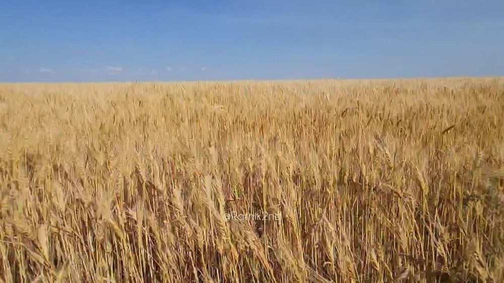 � ��� ������� �������� ����� ���������� �� �������� ������� ���������