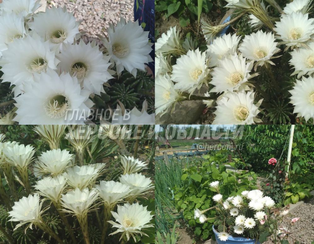 ����������� ����� �� ���� ������� � ���������� ���������� � ���� ������ �������� �����������