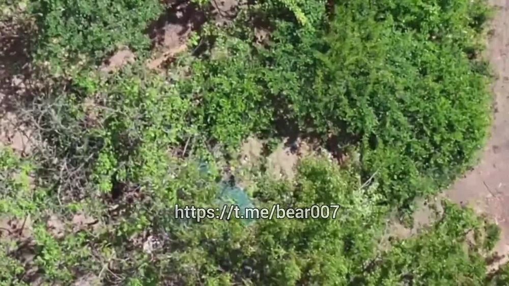 � ����� � ������ ��������� ������� �� ������: