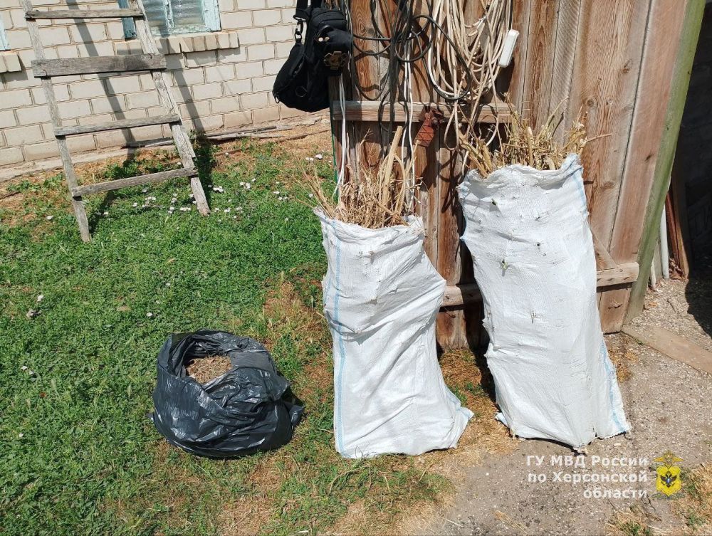 ������ ���������������� ������ ������ �� ������� ����� 4 ����������� ������� � ������� ������ ���������, ������� ������ ��������� ����