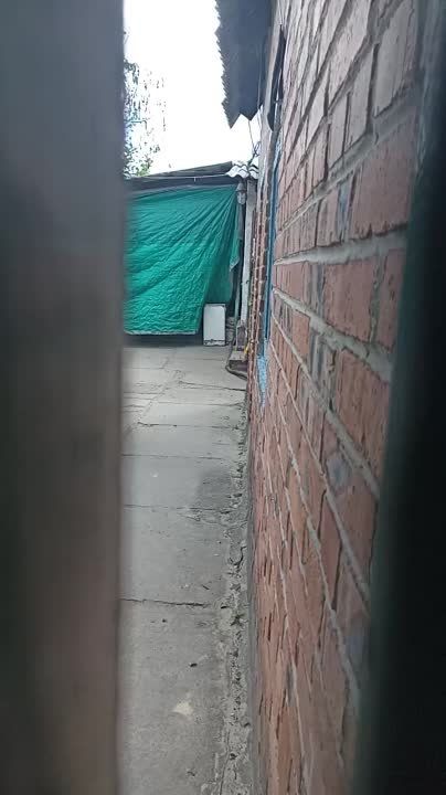 ���� �� ����������, ���� �� ����������� �������������