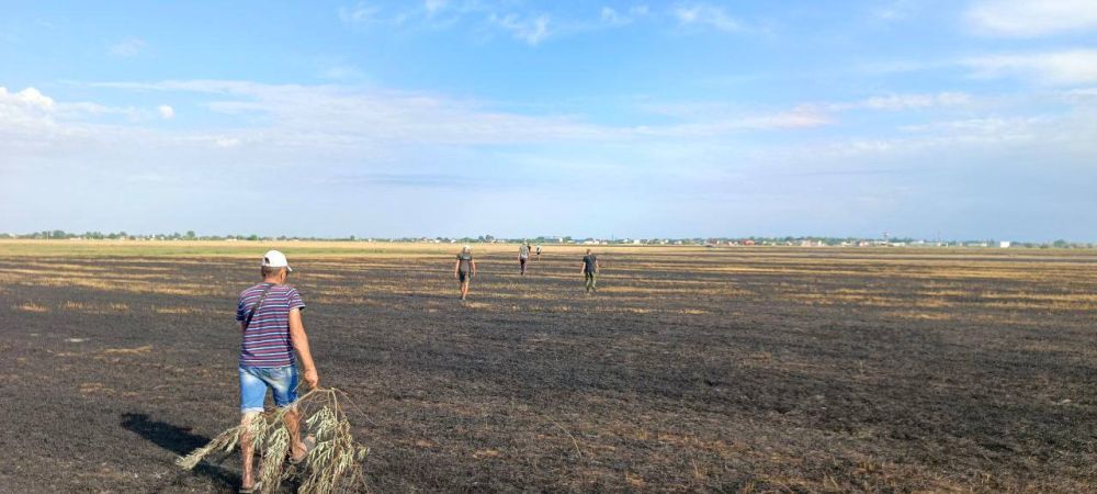 Сегодня во второй половине дня был локализован и ликвидирован пожар в близи пгт Лазурное