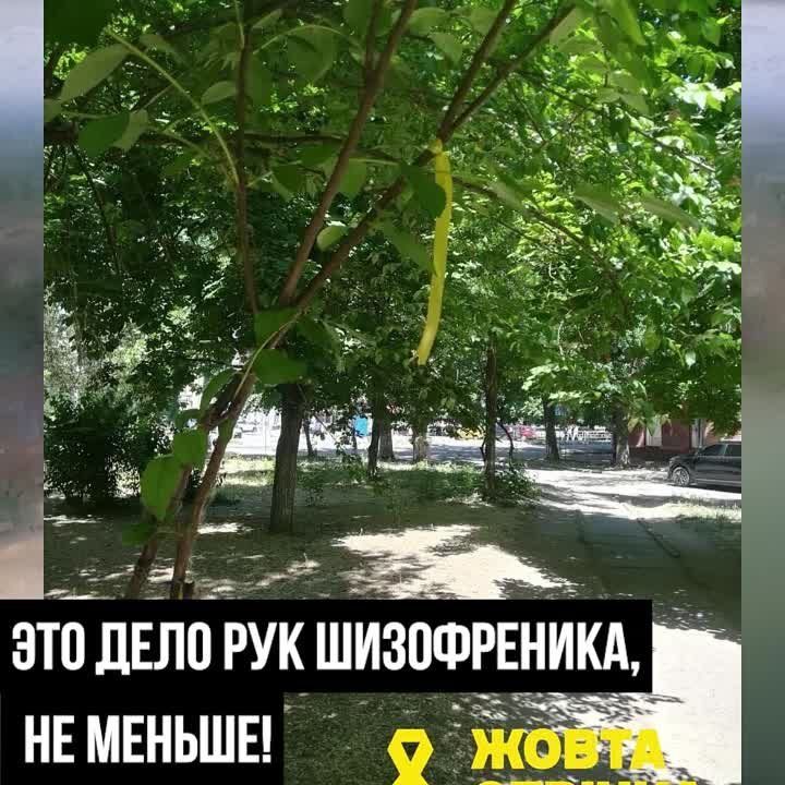 ��������� ���������� ����