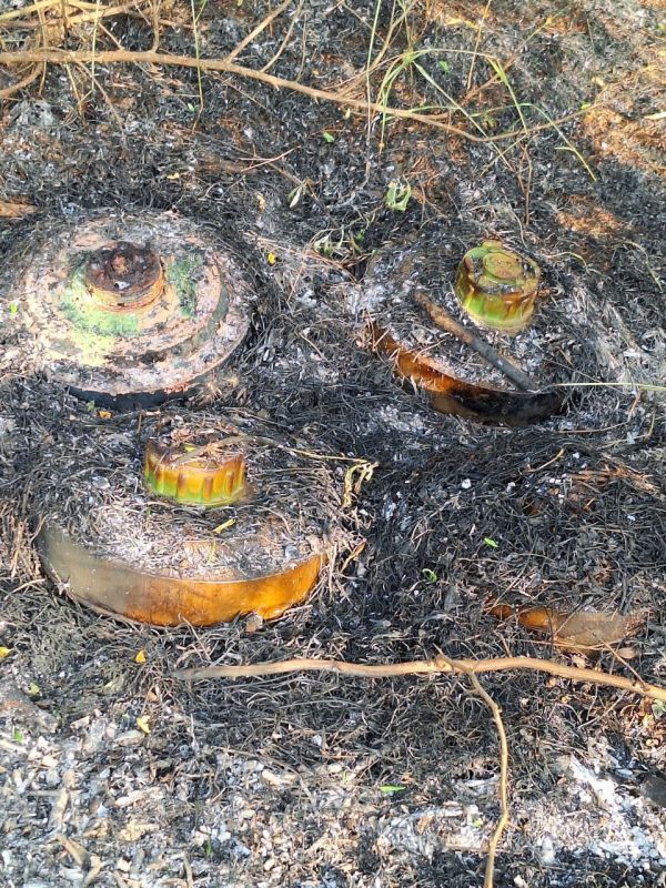 � ��������� ������ ���� ���������� ��������������� �������