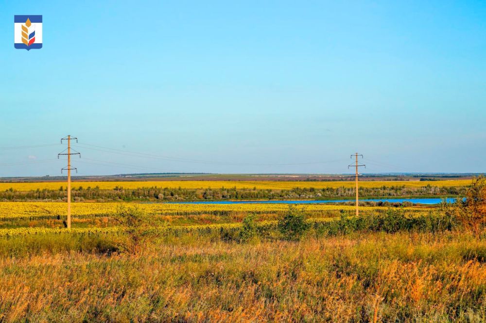 ������� ���������� ������� ������������� � ������� ������������ ������������