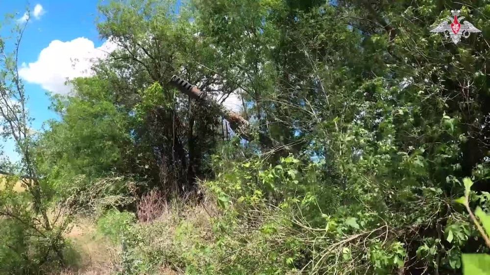 ���������� ��: ������������ ����������� ����� ������ ������� �� �������� ������������� �� ���������� �����������