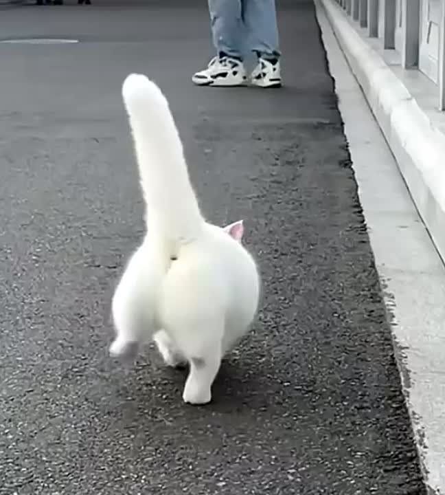 ������ ������, ��� ��� �����?!