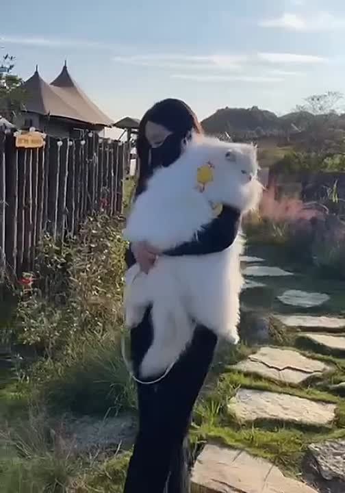 ������� ������... ������� ������� ������������ �� ���������� � �������� ��� �����������