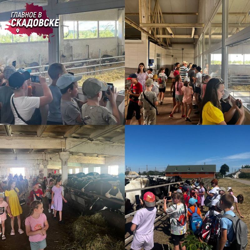 ���� ������ ���������� ������� �������� ��������� ����������� ��������� ��������� � ��������� ������������, ����� ������� � ����� ������ � �����