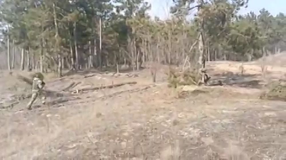 ������� �������: ������� ������������ �.�.����������� ������� ������� �������������, ������� �������������� ��������, ������� ���� �������-����������� � � ������� ������? �� ����� ��������� � ������ �������