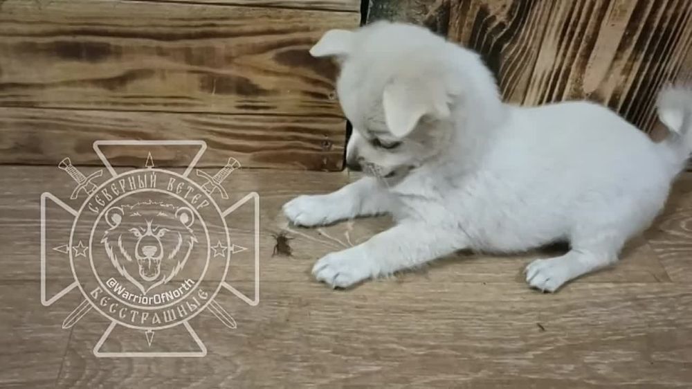 ����� ����� ����� ����� �������� �� ������ ��������