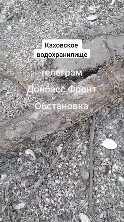 ��������� �������������