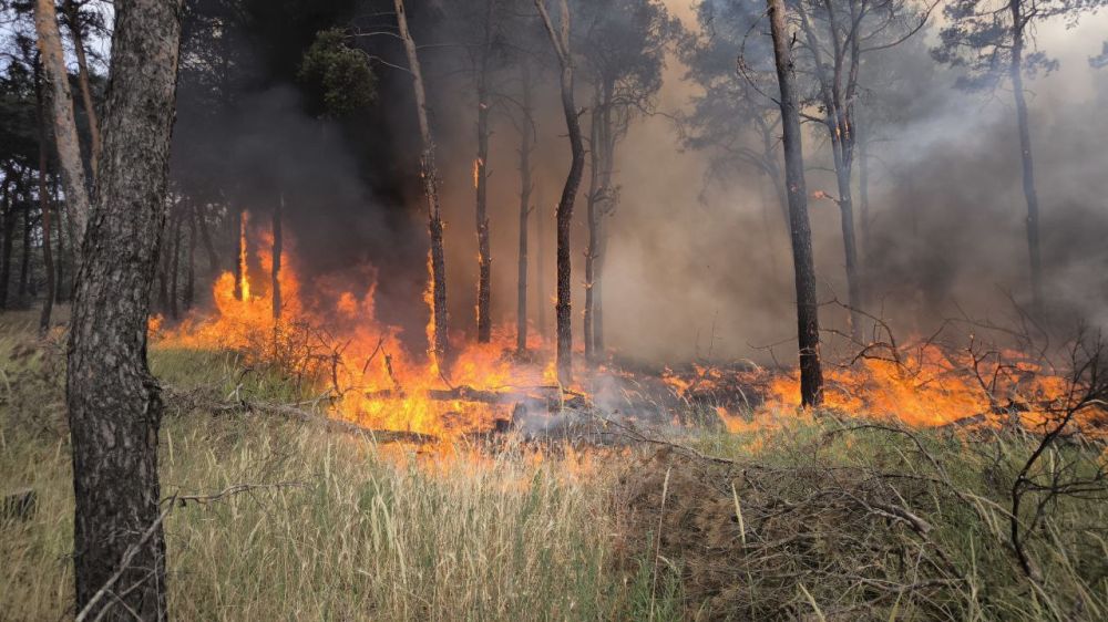 � ��������� ������ ��������� ��� ������������� ����� � ������������� �������� ����