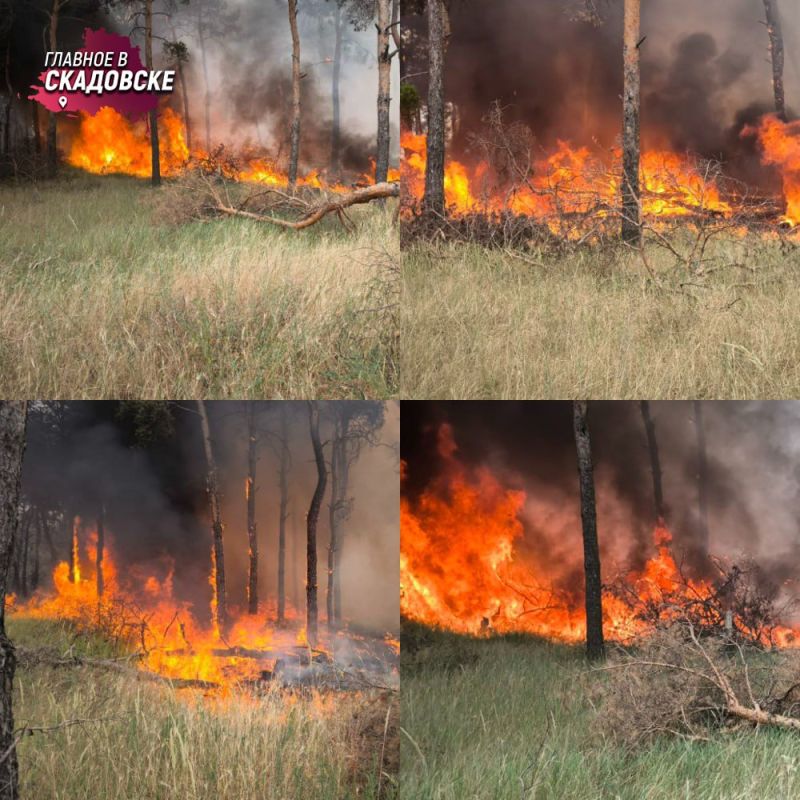 ������� ����� ������������� ����� � ������������� �������� ����, ������� ������� ��-�� �������� �� ������� ���