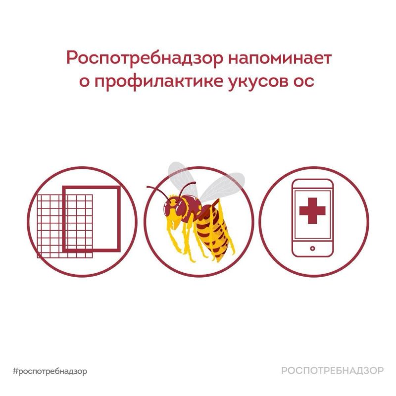 ������������ ������ ��