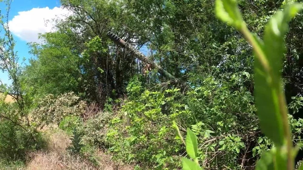 ������ �� �������� ���, ������������� �� ������ ������ ������