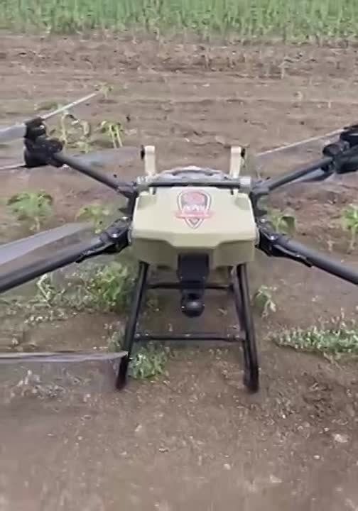 ���������� ���������� ������-������������ ���� �������