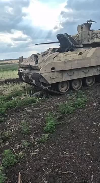 ��� ���� �������� �� ���������� ����������� ������������ ��� M2A2 Bradley ODS-SA ��������� � ���� ����� �����