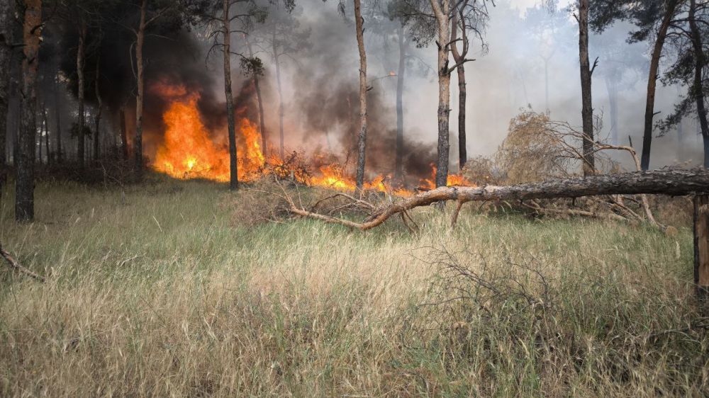 ��������� ��� ������������� ����� � ������������� �������� ����