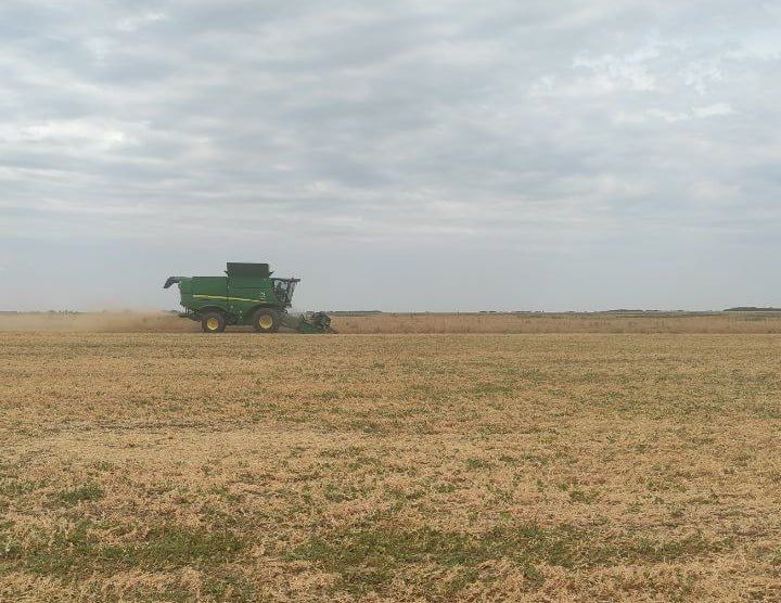 � ��������� ������ ������ ������