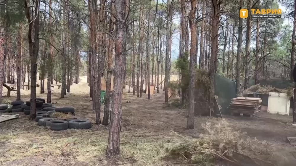 ������� ������ ����������� ����� "�����" �������� ���������� �� ������������ ������ �������