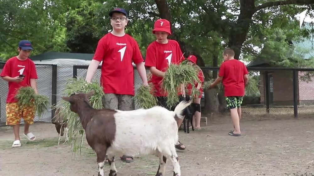 � ���������� ������� �������� ������ ���� ���� ������������