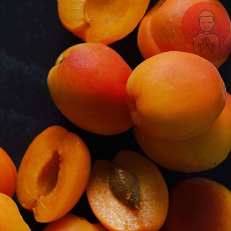 ������ ��������. ����� �������� ��������� ����������� � ��������� ���������. �������� �������� ������� ���������� ������, ��������, ������� � ������