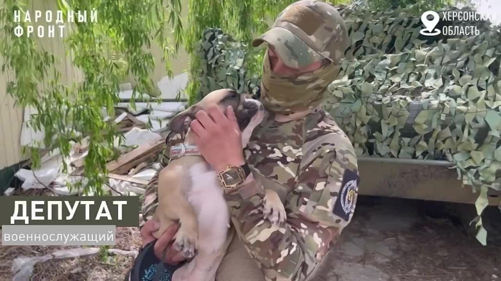 ����� ������: 10 - 16 ����