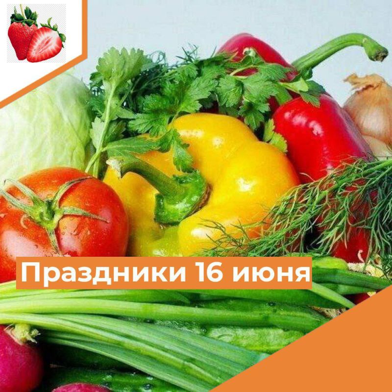 ��������� 16 ����. ������ ������