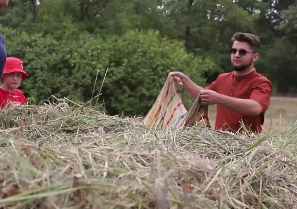 ������ ���� ���� ������������ �������� � ���������� �������