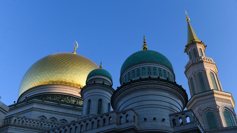 ��������� �����: �������� ���������� ��������� � ����� �� ����� ���������� ���������� � ������-������!