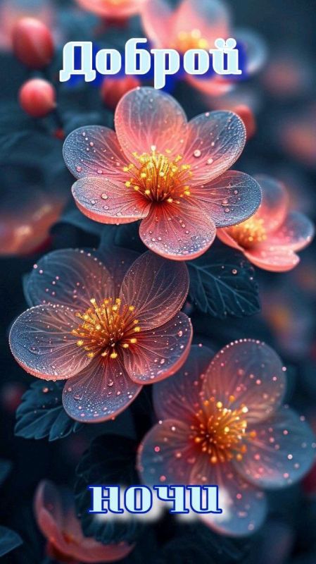 ������ ����. ������ ����� �������� ���� ��������� �������� � �������� ��� � ������ � ������� ����� ��������� �� ������ ������. ��� �������. ����������� �� +18 ����� �� +29 ���