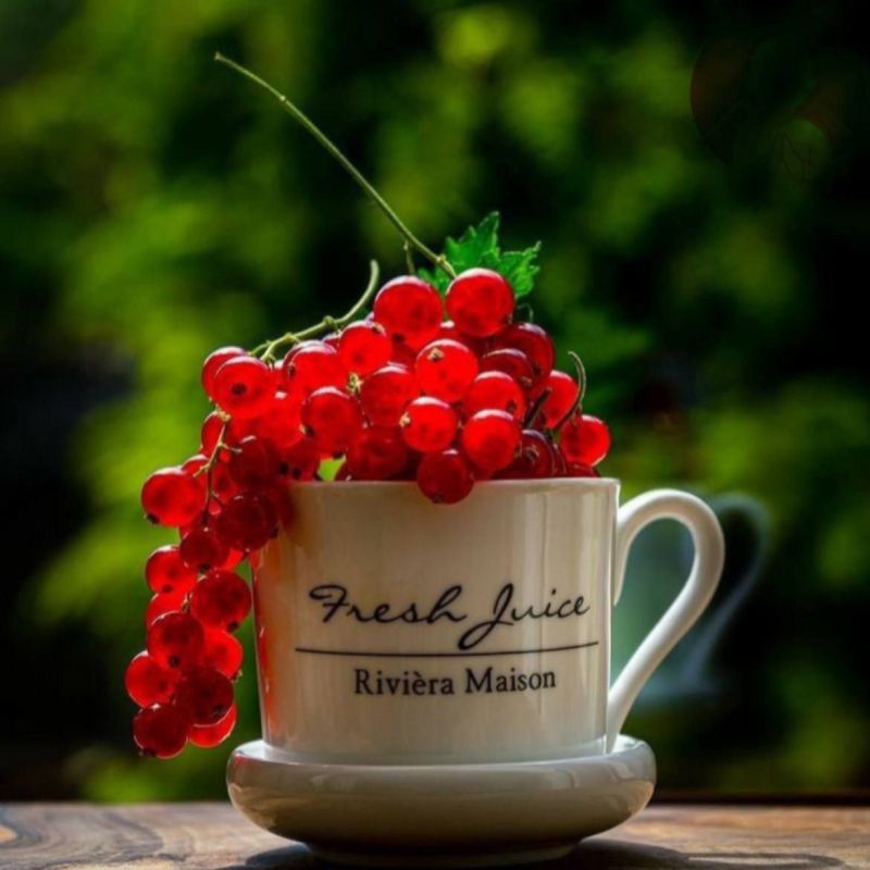 ������ ������� ���������