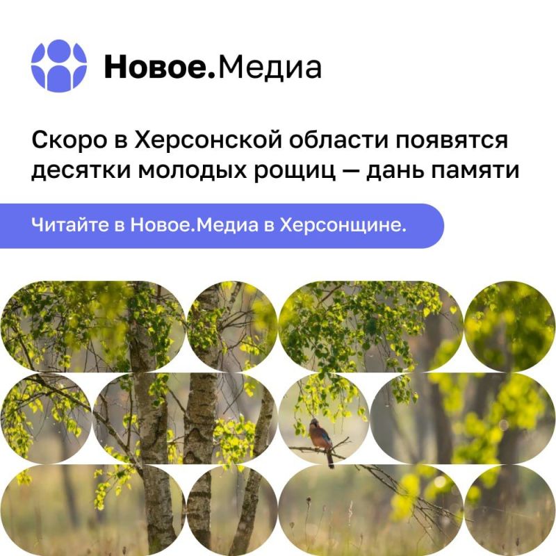 ���������� ������� ���������� ������ ������