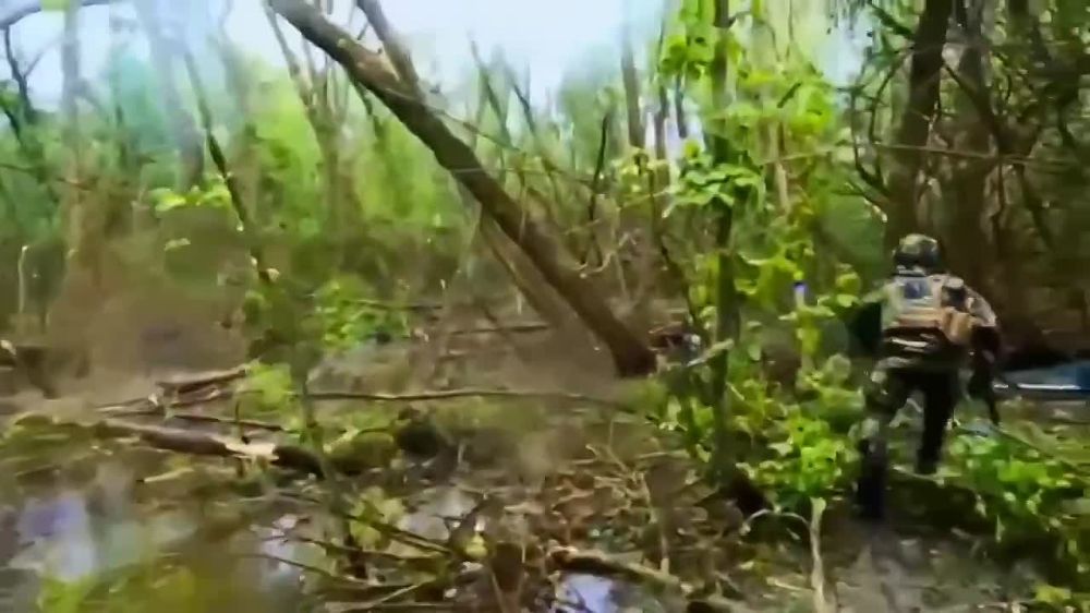 ������� � ������ ������, ���� �������� �����������, �� ���� ���������� ����� �����