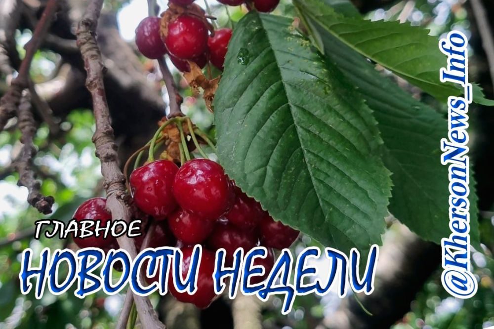 ����������� ������ �� ������ � 10.06