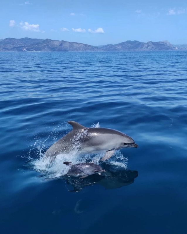 ��� ������� ��������� � �����?