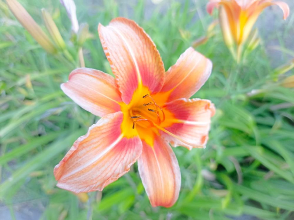 � ������ �����, �����������!