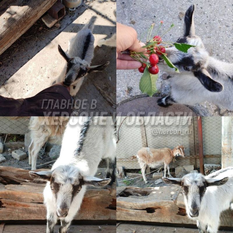 �������, ��������� ���������� ������� � �������� ������ �� ����� �������� �� ��� ����� ��������� ������� �����������