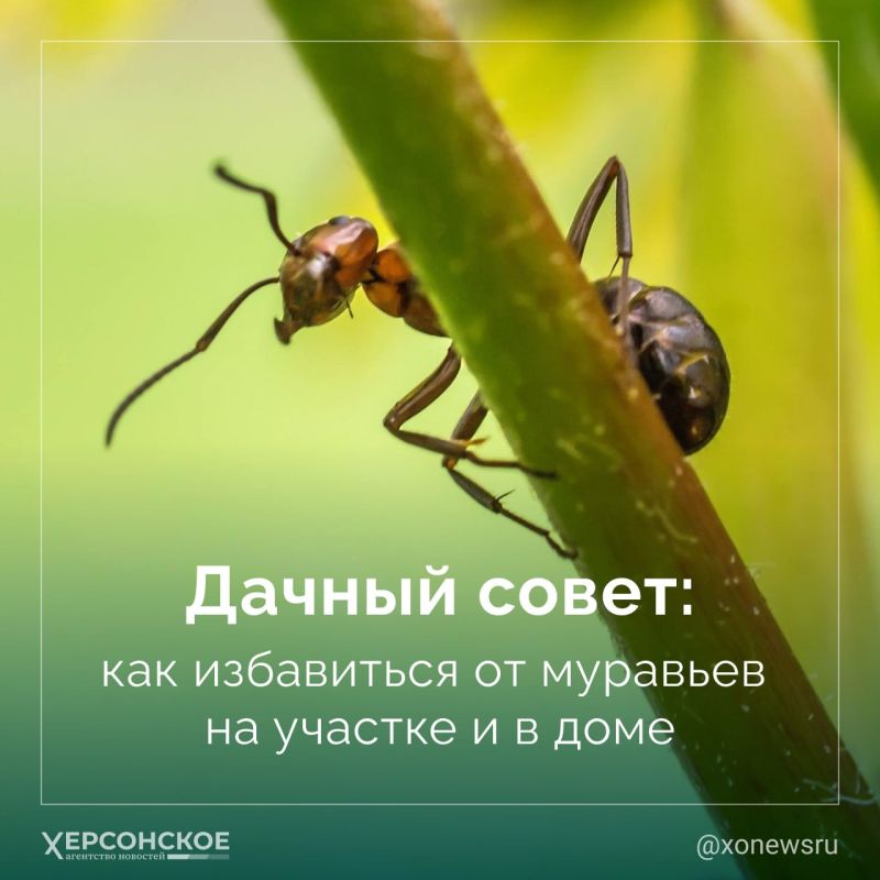 ������� ����� ���� ��������� ��������� ��� ��������� � ���������� ������� �����