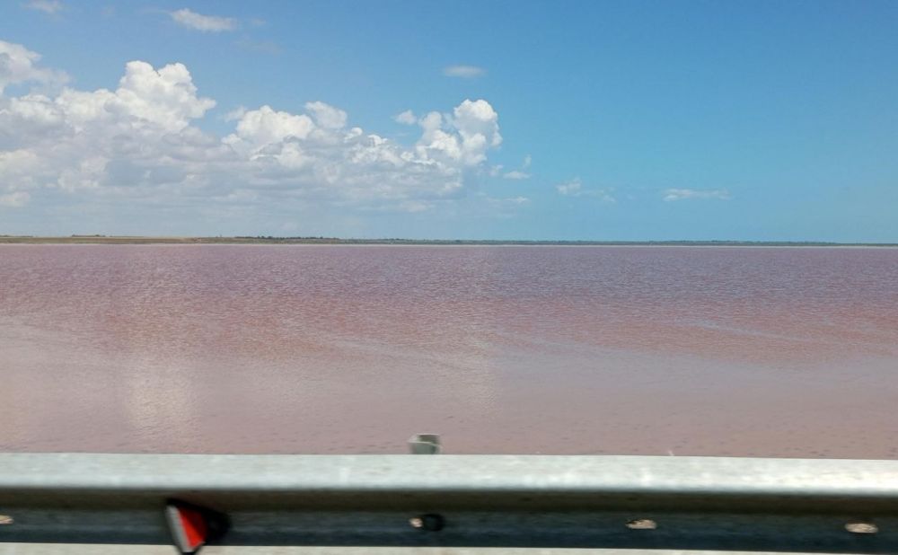 ������� �����. ����� ��� ����������� �� ����� ����� ����� ���� ����������. ���������! @Kherson_kpru