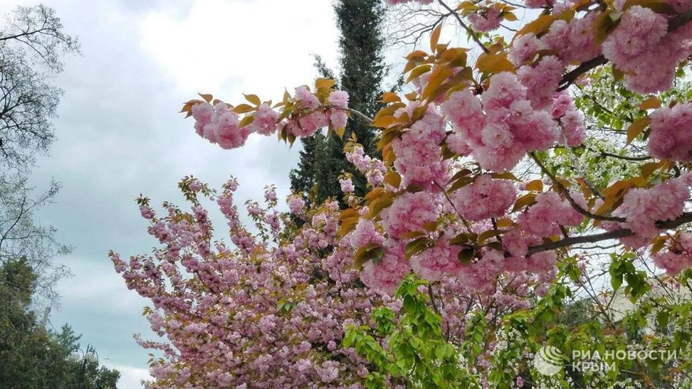 ������ �� ����� ����������� ������