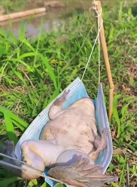 ���� �����!. ������ ������� ����! #������������