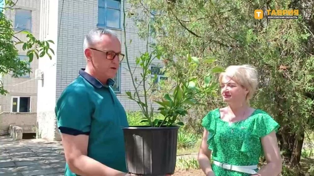 "������ ������" � ���������� ������� ���������� ���������� �������� ���������� ��������� ���������