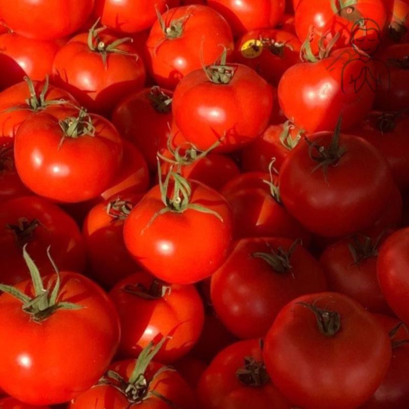 �������� �������� ��������