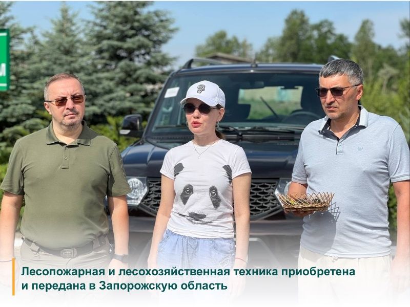 ���, ���, ����������� � ���������� ������� ������� ������������ � ����������������� ������� � ������������