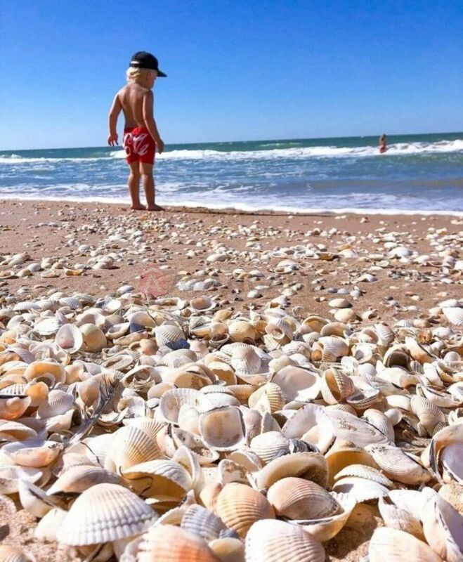 ��������� ������ �� ���������� �������, ���������� �����